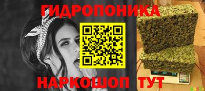 стафф Пугачёв