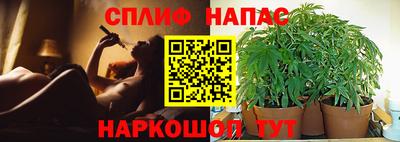PSILOCYBIN Пушкино