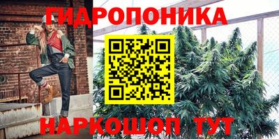 PSILOCYBIN Пушкино
