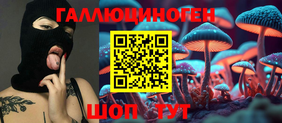 Галлюциногенные грибы Psilocybe Ревда